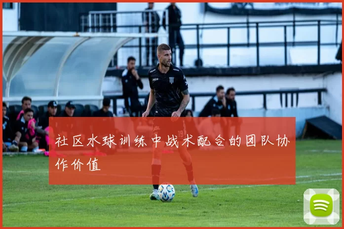 社区水球训练中战术配合的团队协作价值