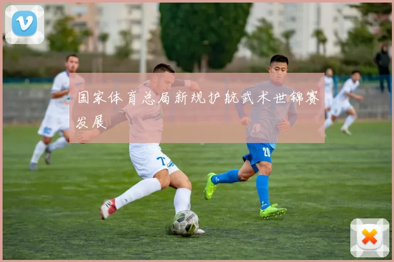 国家体育总局新规护航武术世锦赛发展