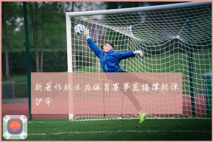 新著作权法为体育赛事直播撑起保护伞