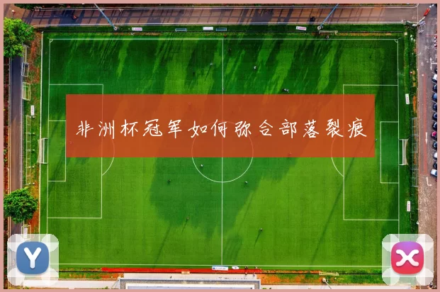 非洲杯冠军如何弥合部落裂痕