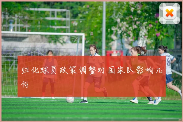 归化球员政策调整对国家队影响几何