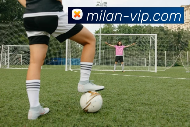 App Interface Preview